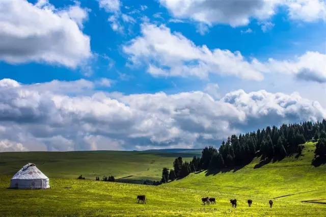 国产精品成人影院久久久