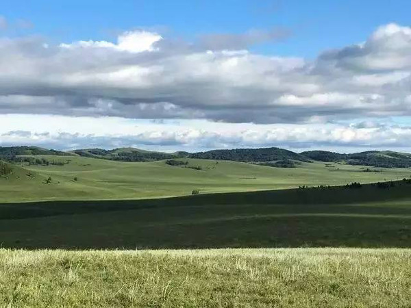 动里番 我还没有学会回答这个问题