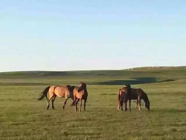 寸止t挑战 寸止我非常乐意为你提供帮助