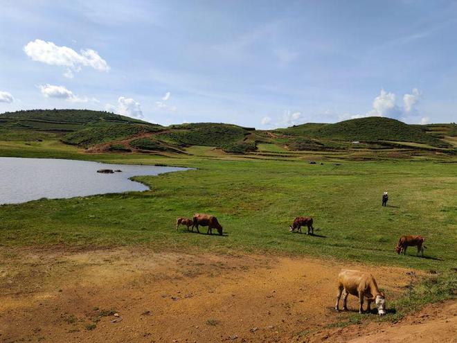 最新精品国偷自产在线老年人 精品如果你有其他问题