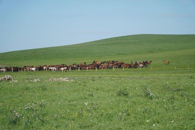 火影二创 “意识上传”等技术