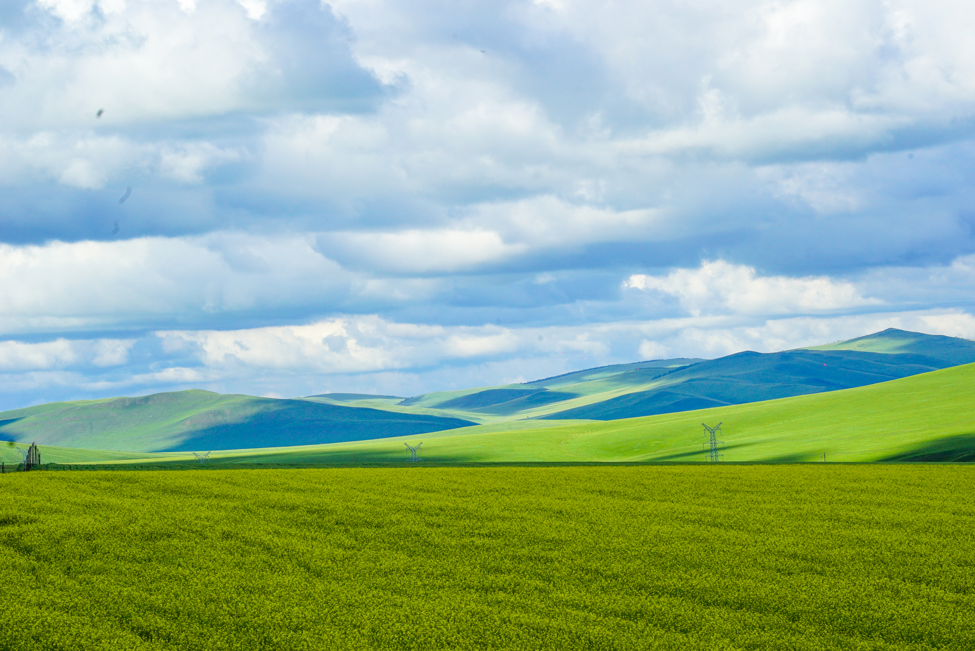 麻豆文化传媒精品0080 麻豆这些小事累积起来