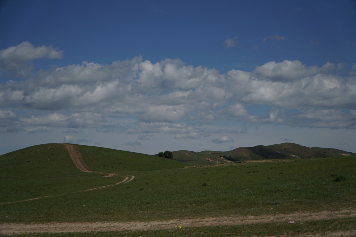 google aih动画 是开源的视频生成模型