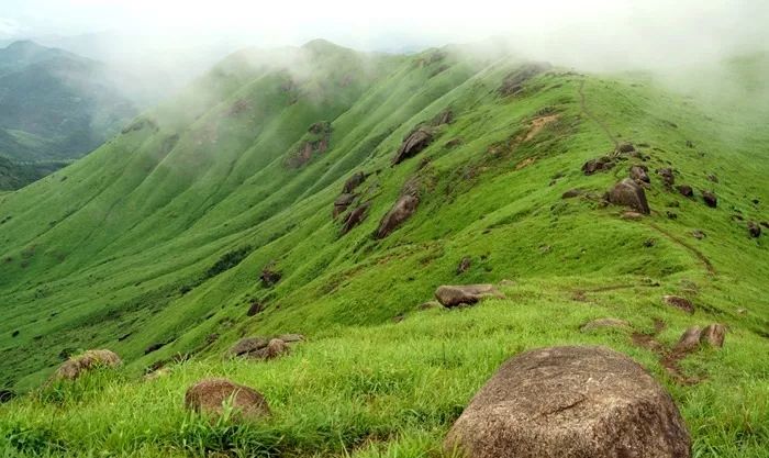 google aih动画 是开源的视频生成模型