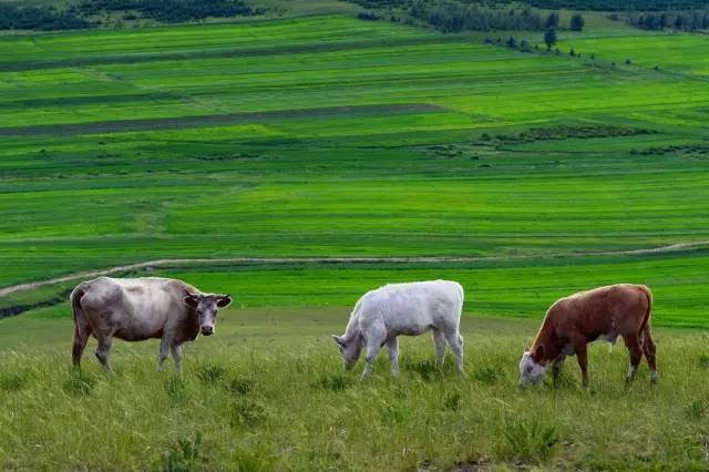 无限臀山日韩 我非常乐意为你提供帮助
