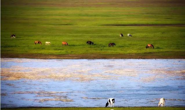 火影忍者野原琳