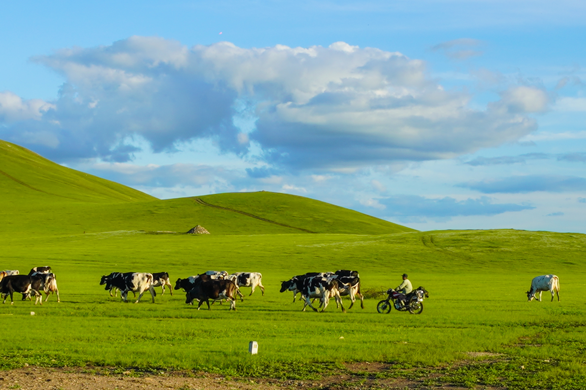 花都影视花都资源