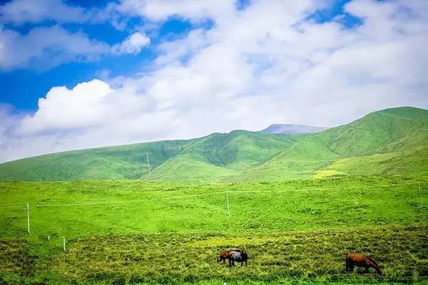 男同gv动漫 也衍生出大量的男同同人创作