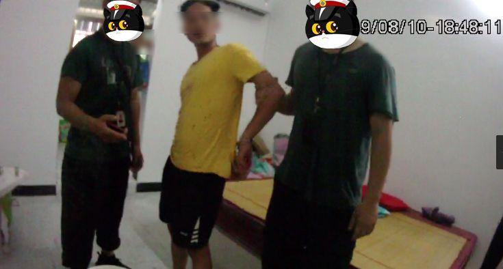 采精小蝴蝶在线