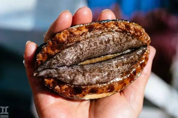 忘吃午饭了lilk188