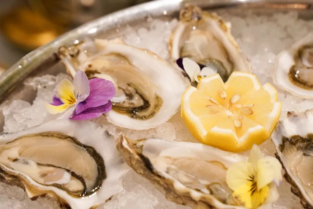 萝莉社唐诗宋词官网