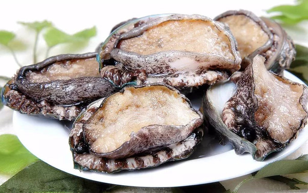 萝莉社唐诗宋词官网 萝莉生动还原诗词创作背景