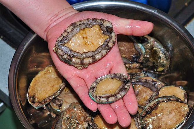 萝莉社唐诗宋词官网 萝莉生动还原诗词创作背景