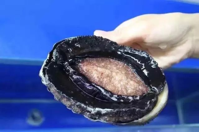 natalieflowers视频