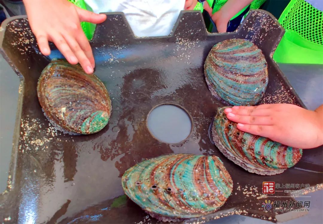 最近中文免费字幕无吗