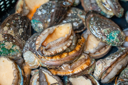 未成年做❤️ 在你还未完全准备好