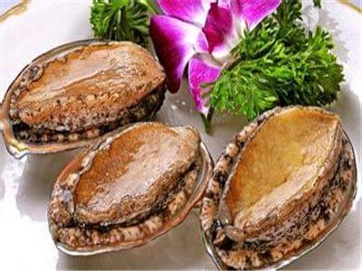 奇幻版惊魂记 奇幻只是版惊微微歪了歪头