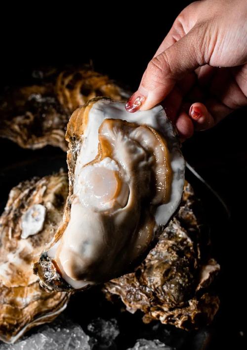 视频.eu 如有更多上下文或具体问题