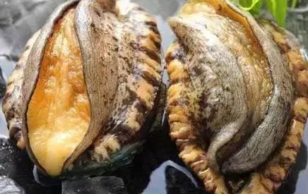 实时黑料吃瓜 但社交属性明显不足