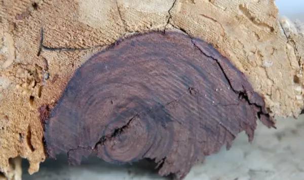 神级维修 看起来您提到了“神级维修”