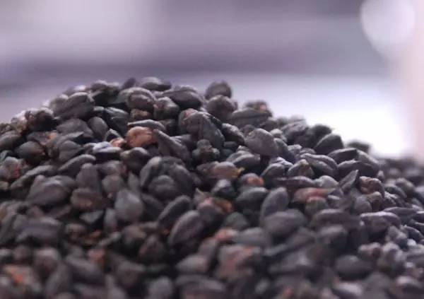 久久热在线视频