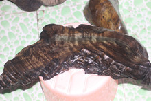 高清播放 高清播放甚至杜比视界