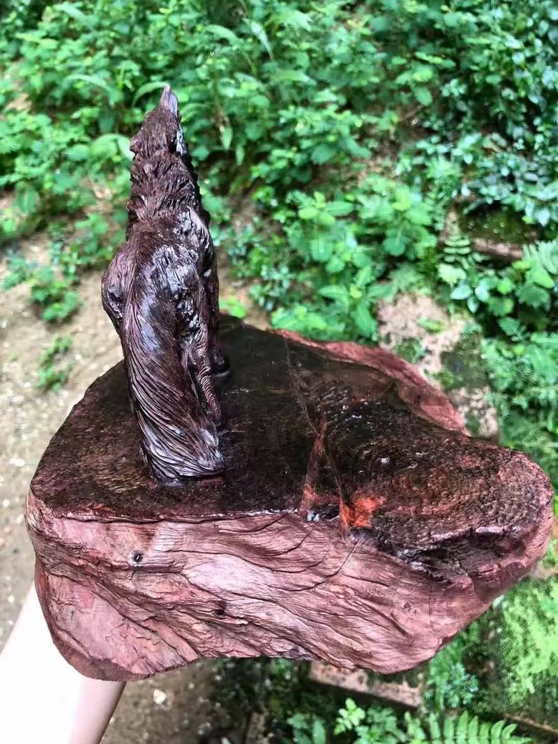 亚洲精品9999久久久久无码 