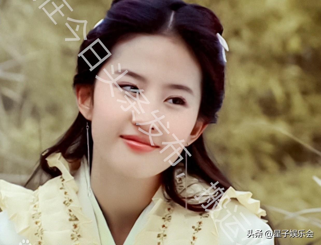 叶问2国语版在线