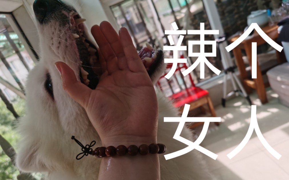 叶问2国语版在线 存在病毒、版线值得一看