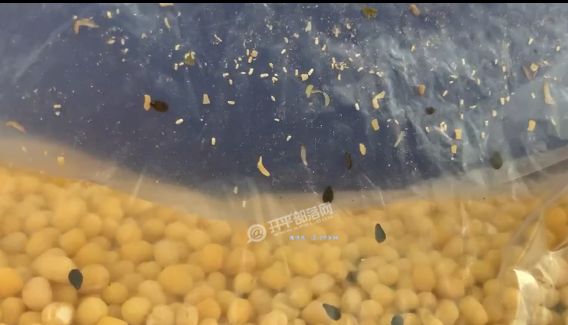 国产精品尹人在线观看 