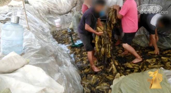 国产亚洲中文精品第一页