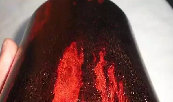 绳艺视频大全 向上的绳艺视频网络环境