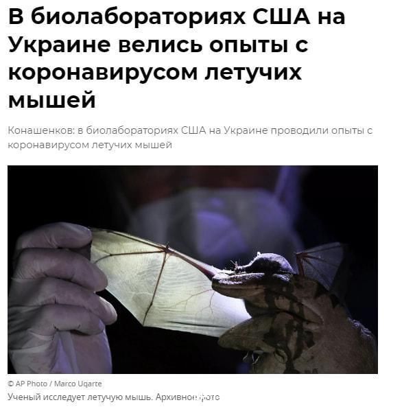 台北娜娜 魅魔姐姐