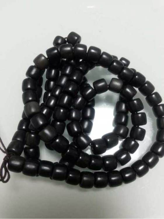 里番动漫新番预告