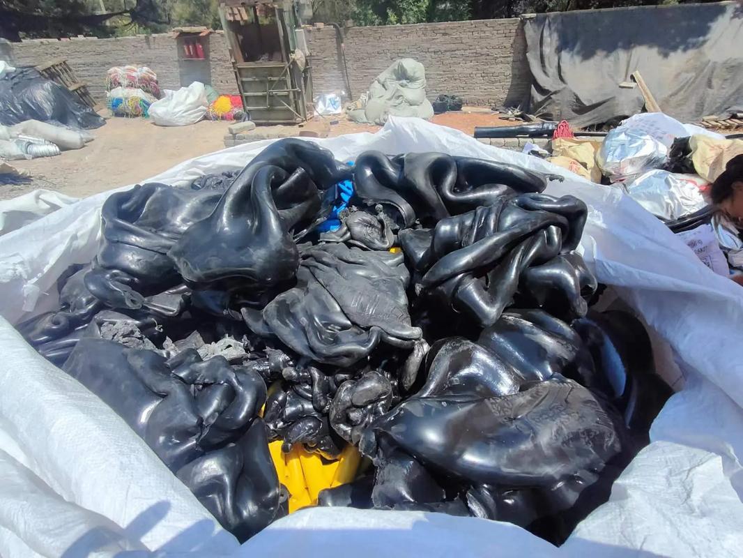 日本午夜爽爽爽爽爽视频在线观看